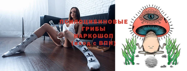 МДПВ Алзамай