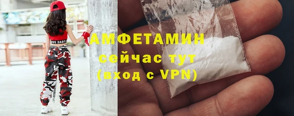 МДПВ Алзамай