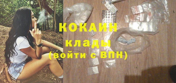 индика Алексеевка