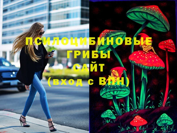 индика Алексеевка