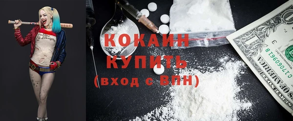 индика Алексеевка
