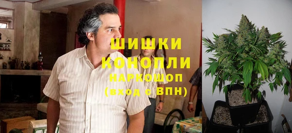 PSILOCYBIN Осташков