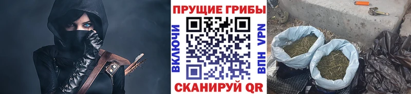 Псилоцибиновые грибы MAGIC MUSHROOMS KRAKEN как войти Билибино
